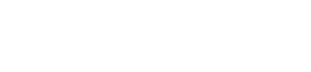 Logo Rapidenet Canada